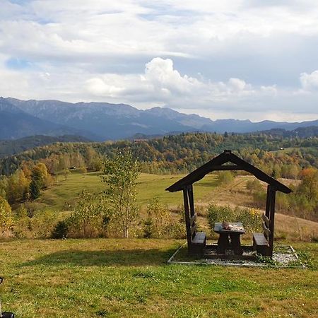 La Odai Bran  Bagian luar foto