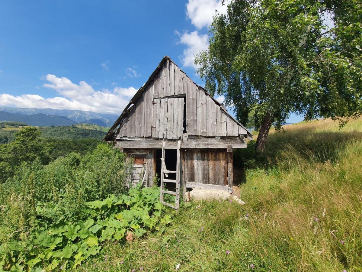 La Odai Bran  Bagian luar foto