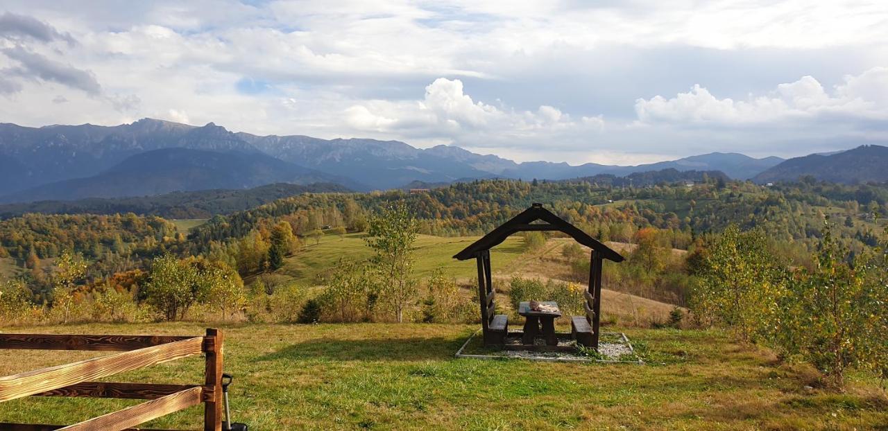 La Odai Bran  Bagian luar foto