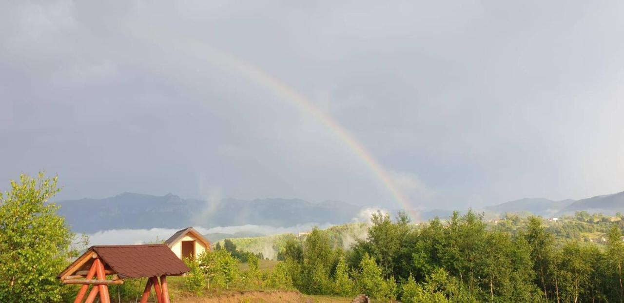 La Odai Bran  Bagian luar foto